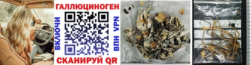 Галлюциногенные грибы Magic Shrooms  купить  сайты  Тавда 